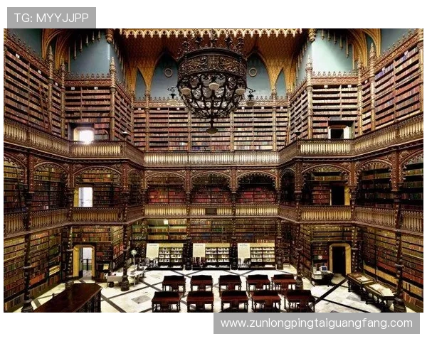 尊龙凯时注册平台如何保障玩家资金安全，专业技术保障与完善的风险控制措施详解