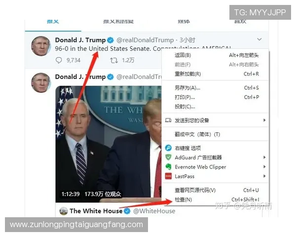 揭秘尊龙网址登录线路背后的安全保障与政策